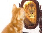 Self-Awareness