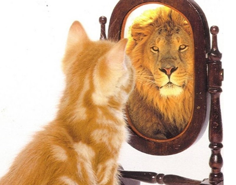 Self-Awareness